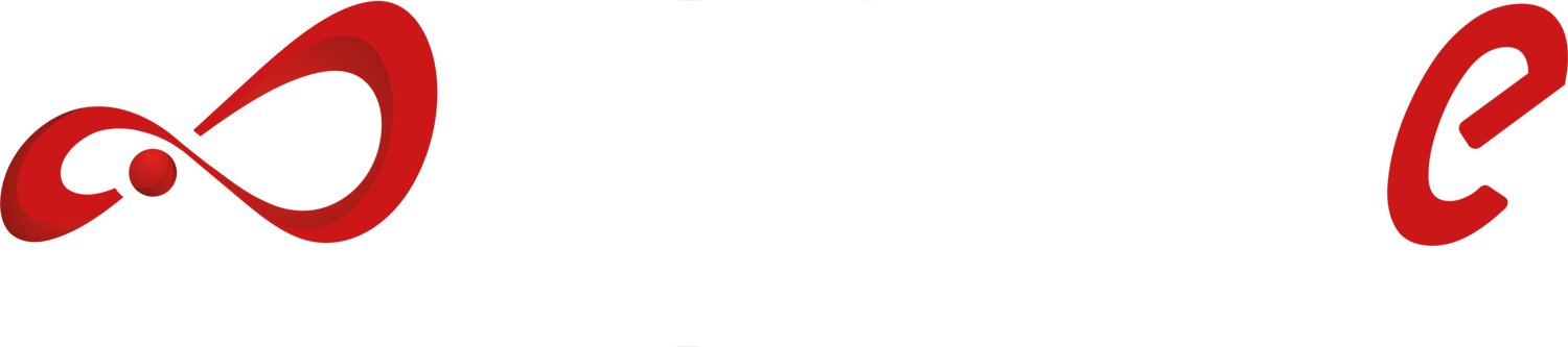 Open-E Jovian DSS — unified enterprise storage partner